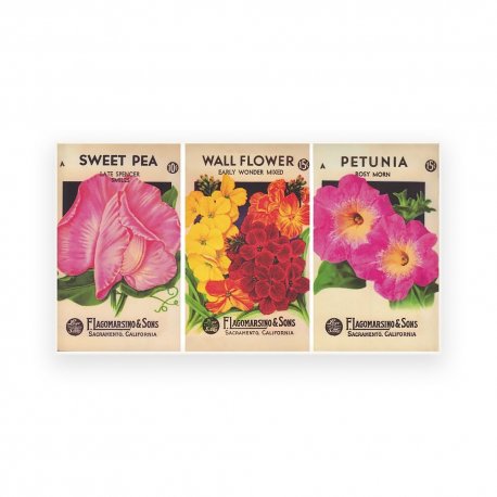 Super-Charming Vintage Seed Packet Notepad Trio 