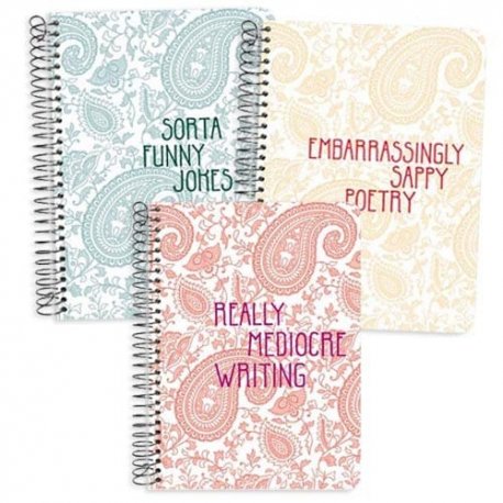 Set of 3 Pamela Barsky Journal Notebooks: Really Mediocre Writing, Embarrassingly Sappy Poetry, AND Sorta Funny Jokes-7.5 x 9.5 